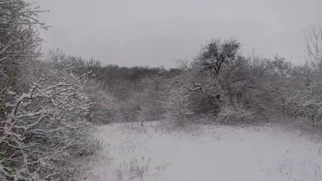 Снегокат 2020 Зимний Лес