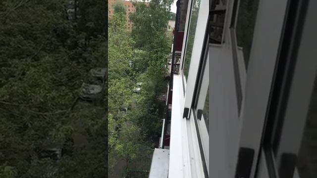 Проехал через шлагбаум смотреть онлайн