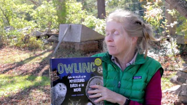 Owling Enter the World of the Mysterious Birds if the Night book review смотреть онлайн