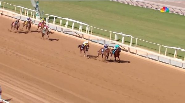 2023 Breeders’ Cup Weekend Recap | Cody Get's His Wish