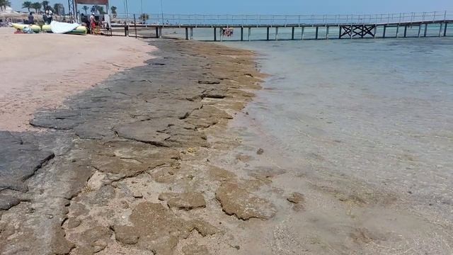 Romance Regency Club 5* Вид с пляжа на понтон (Египет, Шарм эль Шейх)