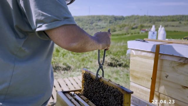 Arılar Çoğalmadı - 2. Katı Ne Zaman Atılacak смотреть онлайн