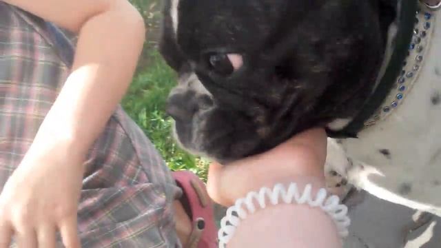 КАК ВЫГЛЯДИТ ДЕНЧИК!