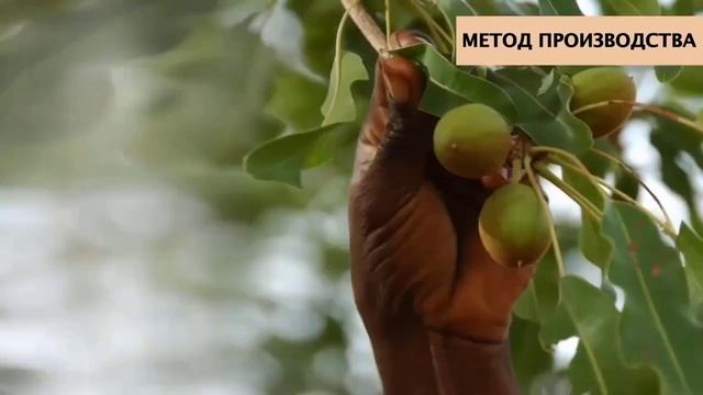 крем рук с маслом ШИ (карите) смотреть онлайн