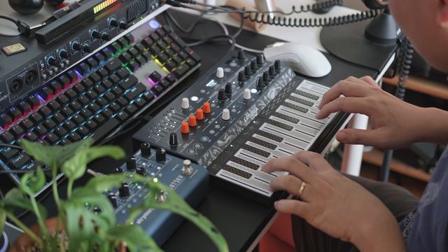Arturia Microfreak and Strymon Nightsky - Ambient Synth Jam (No Talking) смотреть онлайн