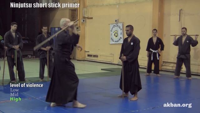 Ninjutsu 'Stick fighting' basics - Hanbo training for the AKBAN wiki смотреть онлайн