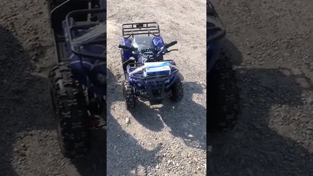 Квадрики Бишкек смотреть онлайн