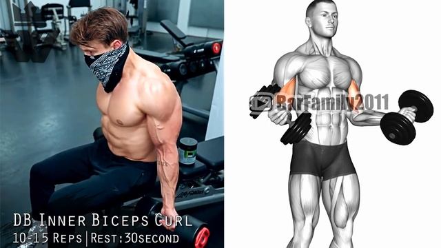 How To Build Your Arms Fast (Biceps Triceps Forearms)