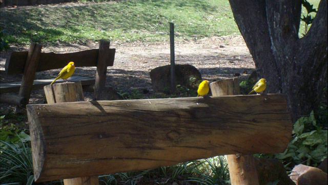 Valcir Marangoni Saudade do Meu Rincão смотреть онлайн