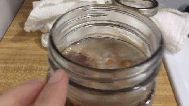How To Grow A SCOBY From Scratch смотреть онлайн