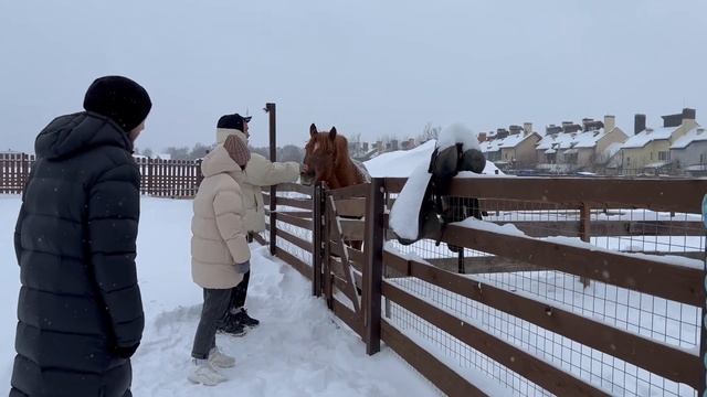 Зимний влог #1. Поездка за город с друзьями, каток, магазины. смотреть онлайн