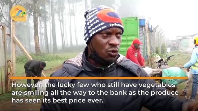 Shortage of vegetables hits Kiambu county смотреть онлайн