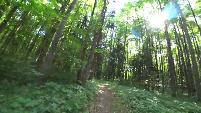 Стабилизация sony HDR AS300 (в парке) смотреть онлайн