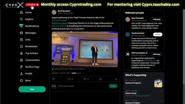 XDC NETWORK BULLISH PUMP! CRYPTO BULL RUN смотреть онлайн