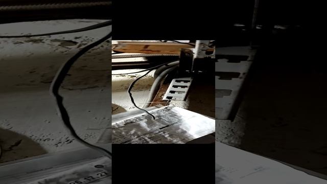 Живём настоящим