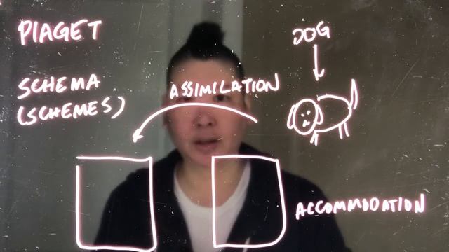 Piaget: Schema, Assimilation, and Accommodation смотреть онлайн