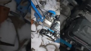 нева в мороз мотоблок запуск