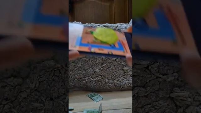 бравл старс без части экрана! смотреть онлайн