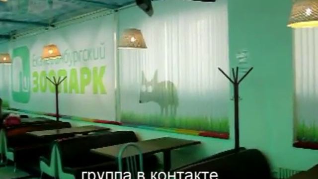 фотожалюзи смотреть онлайн