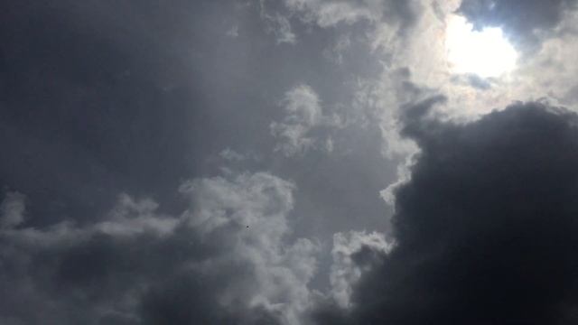 Сизарь посадка. смотреть онлайн