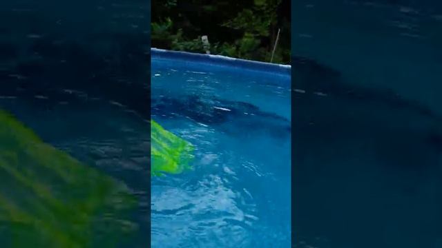 Разливаем зелёнку в бассейне!! Что же будет? смотреть онлайн