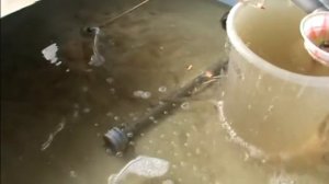 Подогрев и аэрация в бассейне