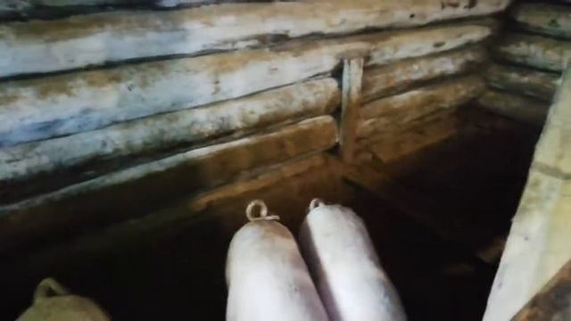 Аномальная жара на Урале. Животные сходят с ума смотреть онлайн