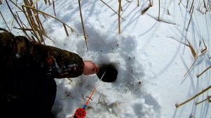 Рыбалка на карася по последнему льду!