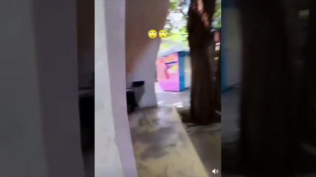 Интересное дизайнерское решение. смотреть онлайн