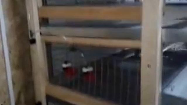 Видео 0006 смотреть онлайн