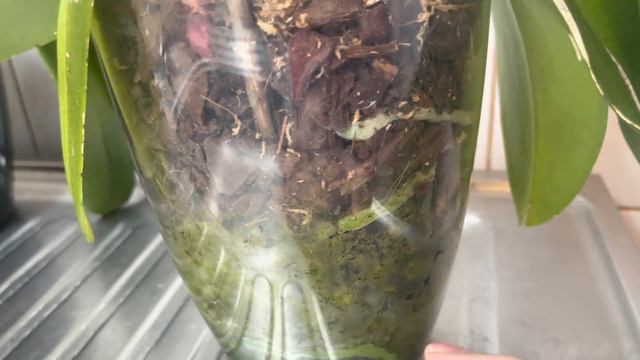 Ответы на вопросы. Часть 2 🦋 смотреть онлайн