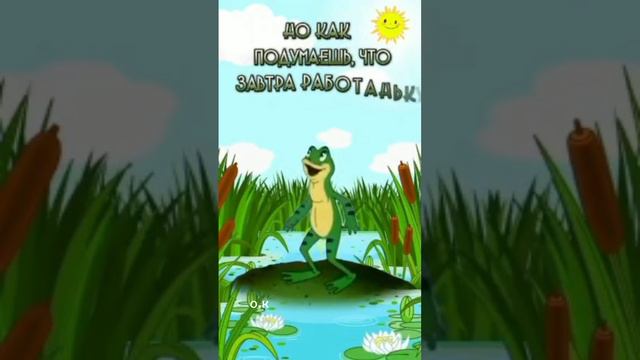 💯🥰🥰🤣 смотреть онлайн