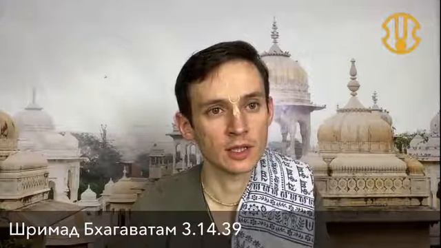 Центр развития харинамы смотреть онлайн