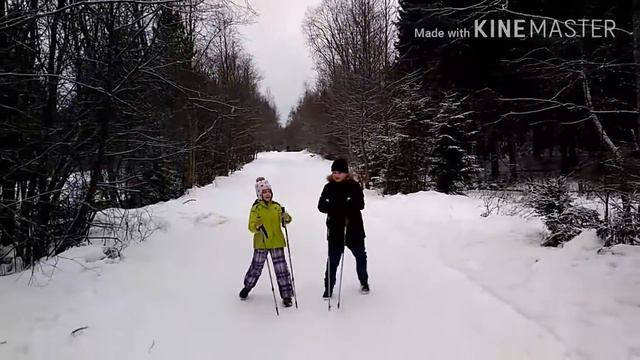Дельфины Севера смотреть онлайн