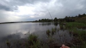 Crazy Fish Arion 702-uls Честный ультрик для мдж. Первый тест