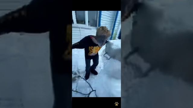 Смешные видео смотреть онлайн