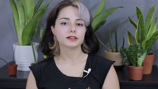 Never Fail with Sansevieria Plant Care Guide Tips 🌿Snake Plant Light Water Soil Propagation + MORE смотреть онлайн