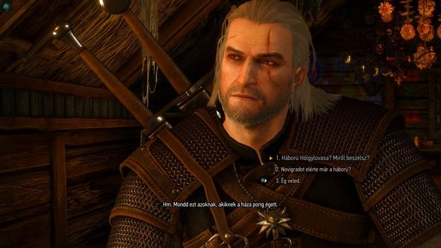 The Witcher 3 Wild Hunt Gameplay2 смотреть онлайн