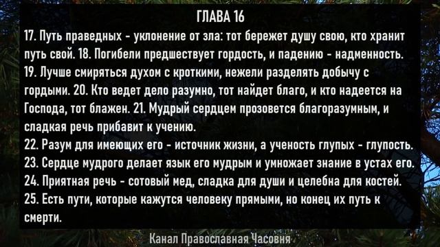 Все притчи Царя Соломона! Книга Притчей Соломоновых - слушать аудио смотреть онлайн