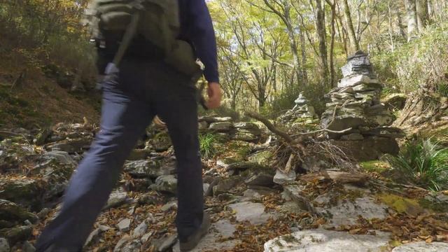 【登山】稲叢山の紅葉　2023年10月29日（高知県）【登山　高知】【登山　四国】 смотреть онлайн