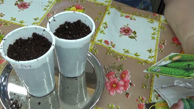 Посев огурцов смотреть онлайн