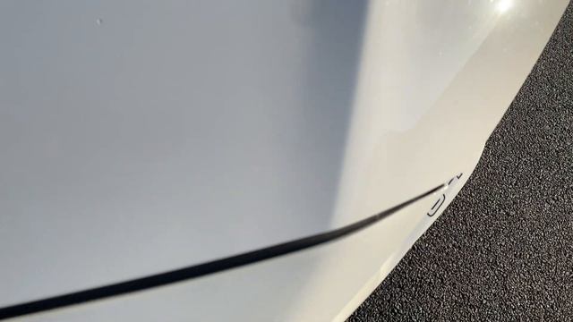 This is why you need a 2019 Ford - Mustang Saleen S302 смотреть онлайн