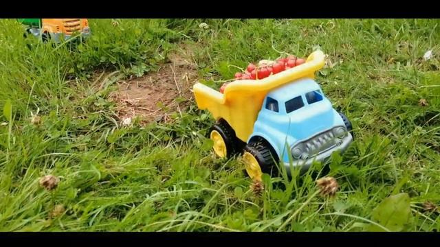 Машинки собирают ягоды#мультикпромашинки #мультик #машинки смотреть онлайн