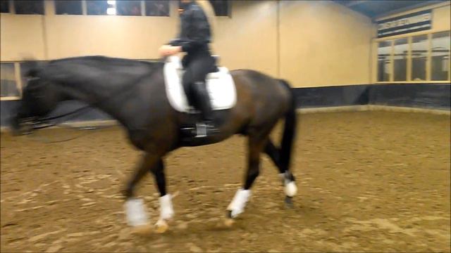 William 30 nov 2013 смотреть онлайн