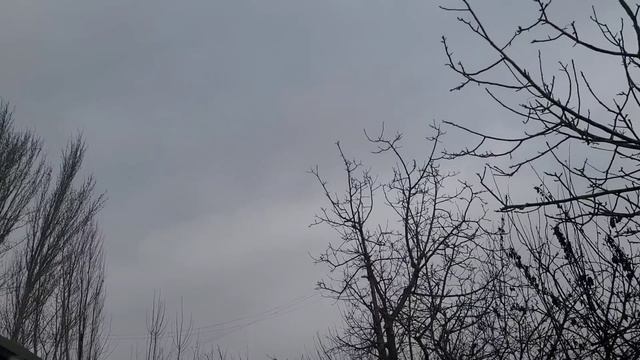 ШОШИЛИНЧ! УЗБЕКИСТОН ФУКОРОЛАРИГА ЕТКАЗИНГ 3-4-5 МАРТ КУНЛАРИ ТАЙЁР ТУРИНГ ХОЗИРГИНА ЭЛОН КИЛИНДИ смотреть онлайн