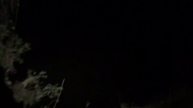 Нашел ЗОЛОТО ночью! Ночной коп принёс находку, которая отбила новую катушку в первый же выход! смотреть онлайн