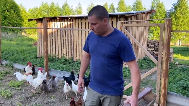 #57. Сюрпризы погоды. Эксперименты продолжаются. Плов. [Жизнь на своей земле] смотреть онлайн