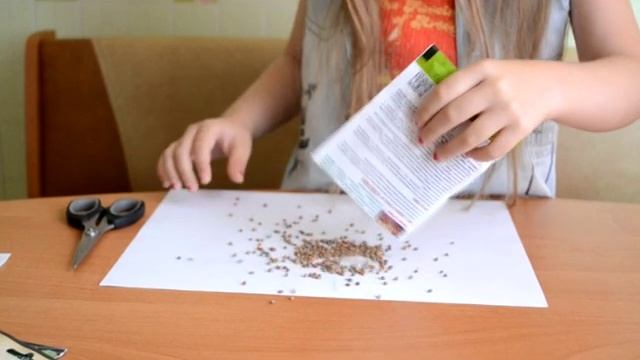 Начало проекта "Мой огород" Растим овощи с ребенком дома смотреть онлайн