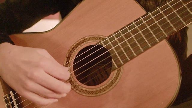 CROSSROCK Air Carbon 4/4 classical Guitar Flight Case смотреть онлайн
