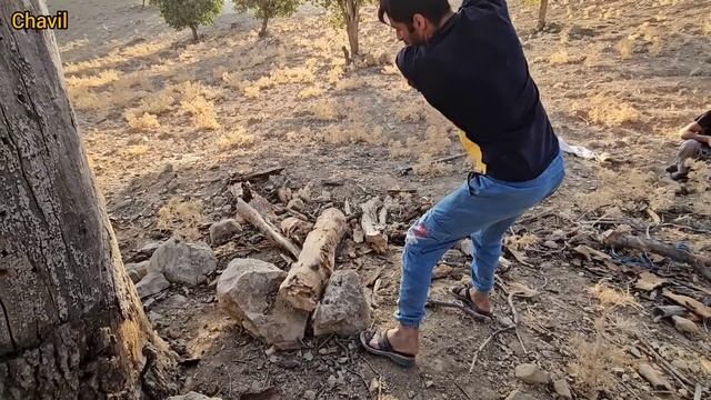 With the onset of cold weather, the nomads prepare firewood to keep the house warm and cook смотреть онлайн